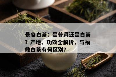景谷白茶：是普洱还是白茶？产地、功效全解析，与福鼎白茶有何区别？