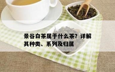 景谷白茶属于什么茶？详解其种类、系列及归属