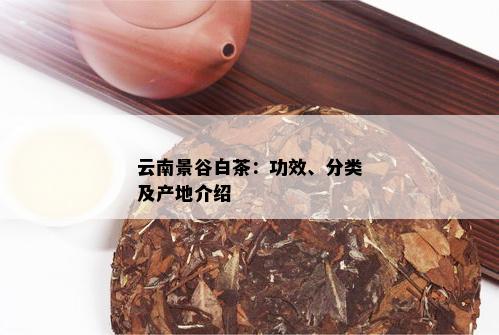 云南景谷白茶：功效、分类及产地介绍