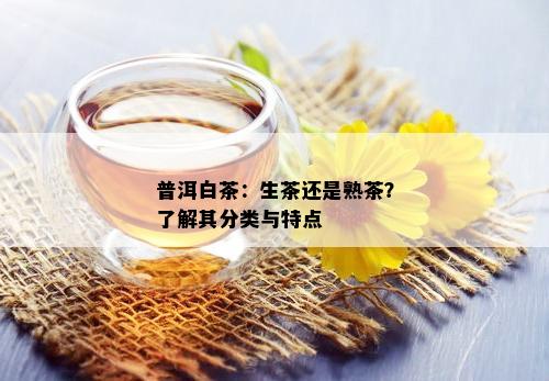 普洱白茶：生茶还是熟茶？了解其分类与特点