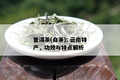 普洱茶(白茶): 云南特产，功效与特点解析