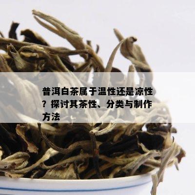 普洱白茶属于温性还是凉性？探讨其茶性、分类与制作方法