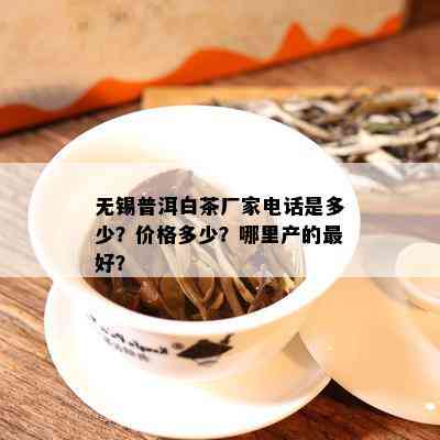 无锡普洱白茶厂家电话是多少？价格多少？哪里产的更好？