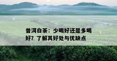 普洱白茶：少喝好还是多喝好？了解其好处与优缺点