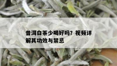 普洱白茶少喝好吗？视频详解其功效与禁忌