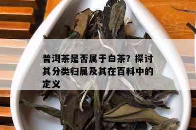 普洱茶是否属于白茶？探讨其分类归属及其在百科中的定义