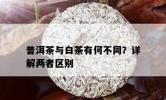 普洱茶与白茶有何不同？详解两者区别