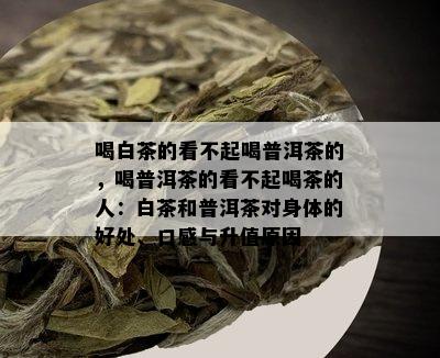 喝白茶的看不起喝普洱茶的，喝普洱茶的看不起喝茶的人：白茶和普洱茶对身体的好处、口感与升值原因