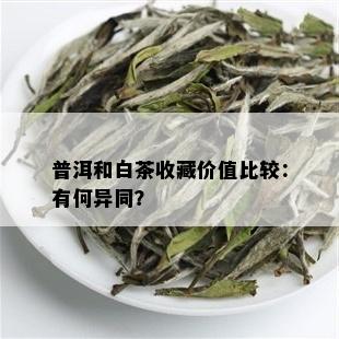 普洱和白茶收藏价值比较：有何异同？