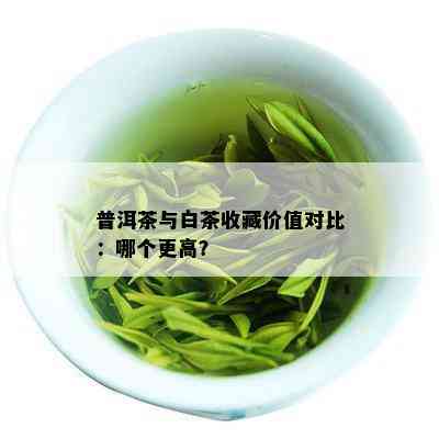 普洱茶与白茶收藏价值对比：哪个更高？