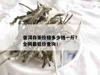 普洱白茶价格多少钱一斤？全网更低价查询！