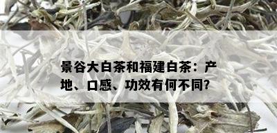 景谷大白茶和福建白茶：产地、口感、功效有何不同？