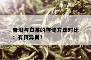 普洱与白茶的存储方法对比：有何异同？