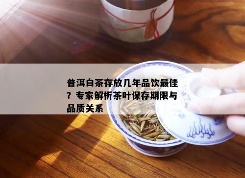 普洱白茶存放几年品饮更佳？专家解析茶叶保存期限与品质关系