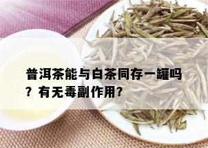 普洱茶能与白茶同存一罐吗？有无副作用？