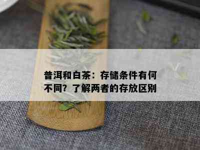 普洱和白茶：存储条件有何不同？了解两者的存放区别