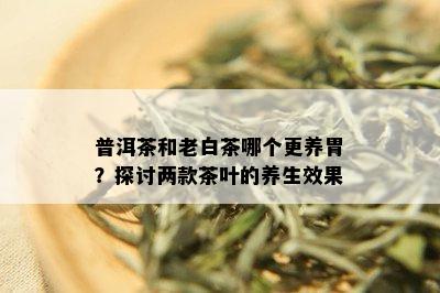 普洱茶和老白茶哪个更养胃？探讨两款茶叶的养生效果