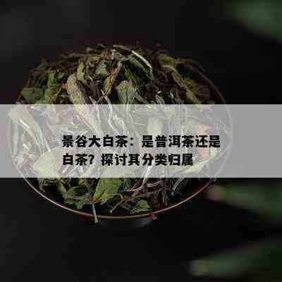 景谷大白茶：是普洱茶还是白茶？探讨其分类归属