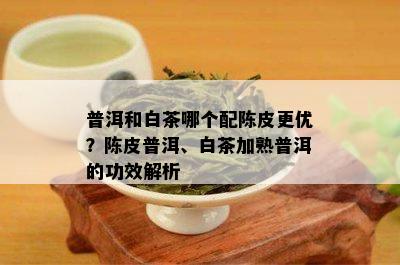 普洱和白茶哪个配陈皮更优？陈皮普洱、白茶加熟普洱的功效解析