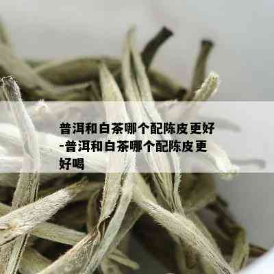 普洱和白茶哪个配陈皮更好-普洱和白茶哪个配陈皮更好喝