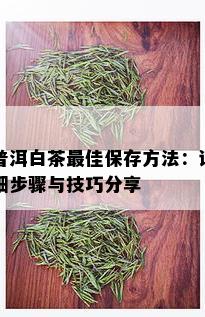 普洱白茶更佳保存方法：详细步骤与技巧分享