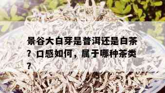 景谷大白芽是普洱还是白茶？口感如何，属于哪种茶类？