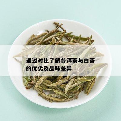 通过对比了解普洱茶与白茶的优劣及品味差异
