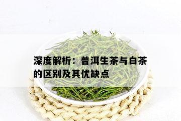 深度解析：普洱生茶与白茶的区别及其优缺点