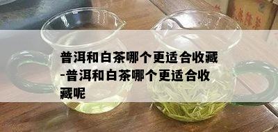 普洱和白茶哪个更适合收藏-普洱和白茶哪个更适合收藏呢