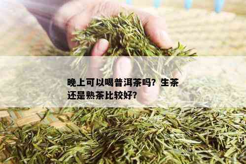 晚上可以喝普洱茶吗？生茶还是熟茶比较好？