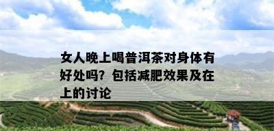 女人晚上喝普洱茶对身体有好处吗？包括减肥效果及在上的讨论