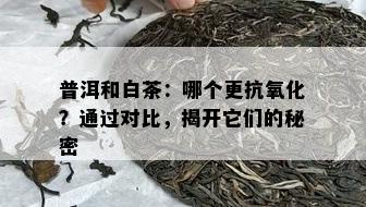 普洱和白茶：哪个更抗氧化？通过对比，揭开它们的秘密