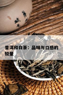 普洱和白茶：品味与口感的较量
