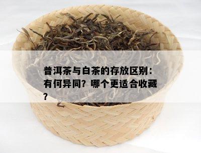 普洱茶与白茶的存放区别：有何异同？哪个更适合收藏？