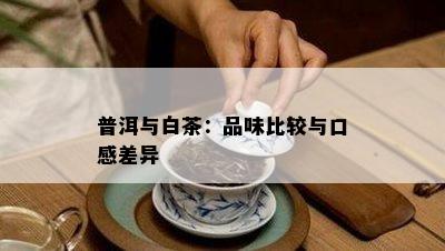 普洱与白茶：品味比较与口感差异