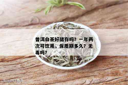 普洱白茶好储存吗？一年两次可饮用，保质期多久？无吗？