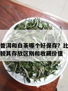 普洱和白茶哪个好保存？比较其存放区别和收藏价值