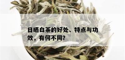 日晒白茶的好处、特点与功效，有何不同？