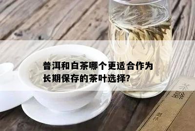普洱和白茶哪个更适合作为长期保存的茶叶选择？
