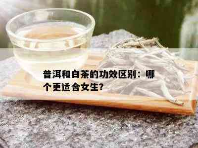 普洱和白茶的功效区别：哪个更适合女生？