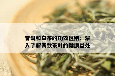 普洱和白茶的功效区别：深入了解两款茶叶的健康益处