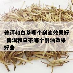 普洱和白茶哪个刮油效果好-普洱和白茶哪个刮油效果好些