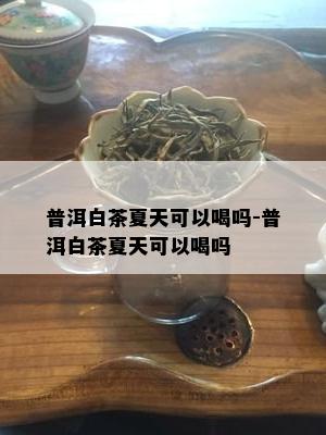 普洱白茶夏天可以喝吗-普洱白茶夏天可以喝吗