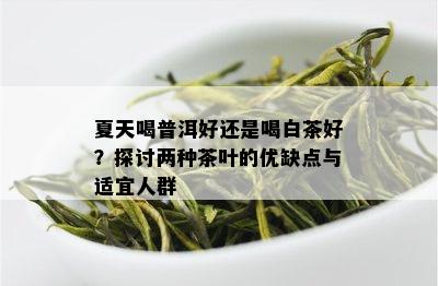 夏天喝普洱好还是喝白茶好？探讨两种茶叶的优缺点与适宜人群