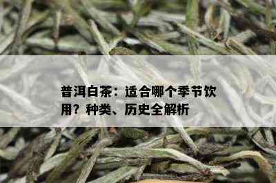 普洱白茶：适合哪个季节饮用？种类、历史全解析