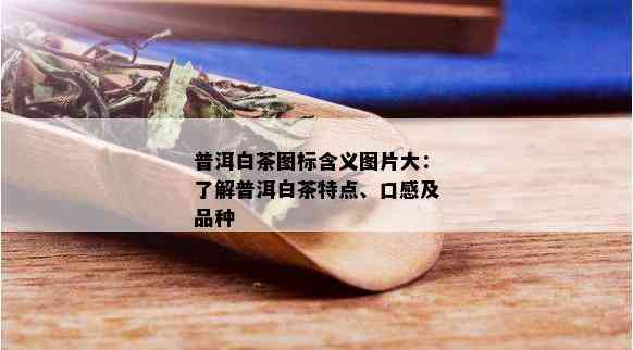 普洱白茶图标含义图片大：了解普洱白茶特点、口感及品种