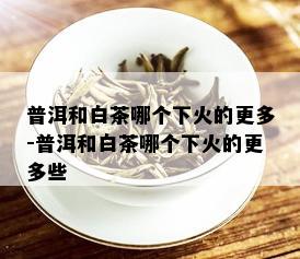 普洱和白茶哪个下火的更多-普洱和白茶哪个下火的更多些