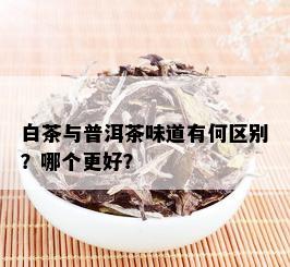 白茶与普洱茶味道有何区别？哪个更好？