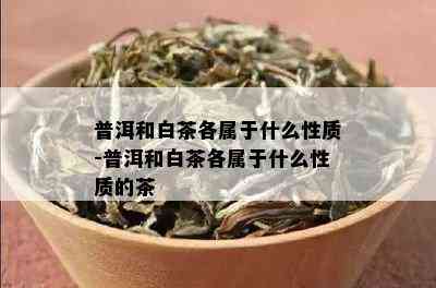 普洱和白茶各属于什么性质-普洱和白茶各属于什么性质的茶