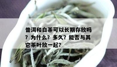 普洱和白茶可以长期存放吗？为什么？多久？能否与其它茶叶放一起？